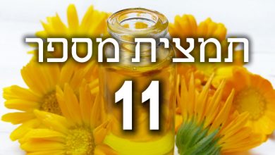 Photo of תמצית פרחי באך מספר 11- אלם – בוקיצה ELM