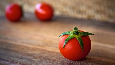 Photo of עגבניה – ערכים תזונתיים ויתרונות בריאותיים